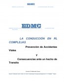 PERITO ANALISTA EN ACCIDENTES DEL TRANSITO LA CONDUCCIÓN EN RUTAS COMPLEJAS