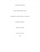 INGENIERÍA INDISTRIAL DISEÑO DEL TRABAJO