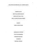 CARACTERIZACIÓN EMPRESARIAL DE LA EMPRESA MANGO