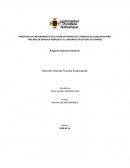 PROPUESTA DE MEJORAMIENTO DE LA PRODUCTIVIDAD EN EL PROCESO DE COSECHA DE PIÑA TIPO MD2 DE BENGALA AGRÍCOLA S.A., MEDIANTE UN ESTUDIO DE TIEMPOS