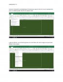 Administracion EJERICICIO N° 17