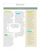 Contexto Social. Mi profesion