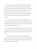 Analisis de los mercados de consumo