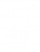 CASO EVELYN HERNANDEZ