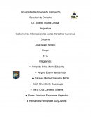 Instrumentos Internacionales de los Derechos Humanos