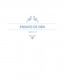 Ensayo Database Administrator