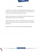 Comportamientos éticos del líder