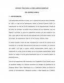 ESTUDIO TESA PARA LA CONCLUSIÓN DE MONTAJE DEL INGENIO LUZMILA