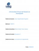 La economia en la organizacion