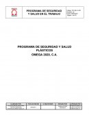 PROGRAMA DE SEGURIDAD Y SALUD PLÁSTICOS OMEGA 2020, C.A