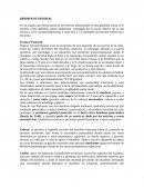 RESUMEN DE PÁNCREAS