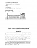 Practica #2 Técnicas de Separación de Sustancias