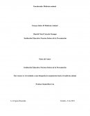 Ensayo Sobre El Maltrato Animal