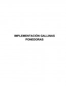 IMPLEMENTACIÓN GALLINAS PONEDORAS