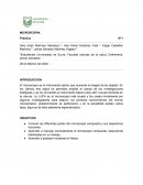 MICROSCOPIA. Practica N°1