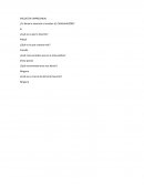 Encuesta empresarial