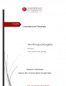 Una cultura de apego