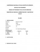 MODELO DE SILABUS PARA MAESTRIA