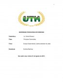 Ensayo Desarrollando Lideres alrededor de usted