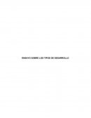 ENSAYO SOBRE LOS TIPOS DE DESARROLLO