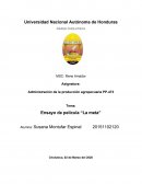 ENSAYO SOBRE PELICULA LA META