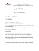 INTERPRETACIÓN DEL TEST H-T-P