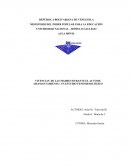 VIVENCIAS DE LAS MADRES DURANTE EL ACTO DE AMAMANTAMIENTO. UN ESTUDIO FENOMENOLÓGICO