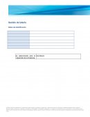 Procesos de Gestion Starbucks Mexico