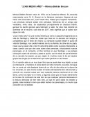 Novela infantil ¡Casi medio año! – Mónica Beltrán Brozon