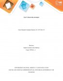 Fase 5. Desarrollo estratégico