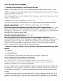 Desarrollo socioafectivo. Tarea desarrollo afectivo de 0 a 6 años.