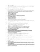 Estrategia urbanistica Guía