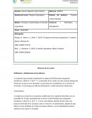 Evidencia 1. Delimitación y antecedentes