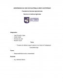 Proyecto de lácteos (yogurt casero) en el área de Coatepeque, Quetzaltenango