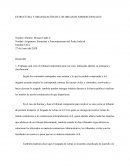 ESTRUCTURA Y ORGANIZACIÓN DE LOS ORGANOS JURISDICCIONALES