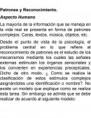 Patrones y Reconocimiento. Aspecto Humano