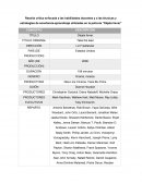 Reseña crítica de la película déjate llevar