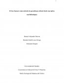 El San Juanero como método de aprendizaje cultural desde una óptica morfofisiológica