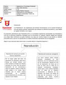 Elaboración de microsistemas biológico-ambientales: Cultivo de Paramesium