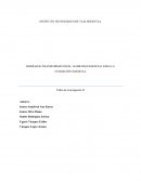 LIDERAZGO TRANSFORMACIONAL, HABILIDAD ESENCIAL PARA LA FUNDACIÓN XOCHITLA