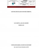 AUDITORIA ESPECIALIZADA EN MATERIA AMBIENTAL