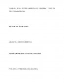 PANORAMA DE LA GESTIÓN AMBIENTAL EN COLOMBIA Y COMO ESO INFLUENCIA LA MINERÍA