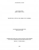 RESUMEN DEL CAPÍTULO 3 DEL LIBRO LUCES Y SOMBRAS