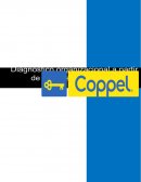 DISEÑO ORGANIZACIONAL DE LA EMPRESA COPPEL