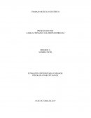 ARTÍCULO CIENTÍFICO . Depresión, enfermedad crónica, estrategias terapéuticas