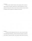 Ensayo de libro: ¡A la carga!