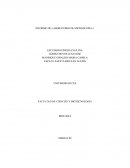 EXPERIENCIAS EN FÍSICA: CALIBRACION ESTATICA DE LA CONSTANTE DE UN RESORTE
