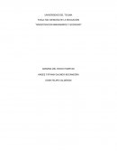 Problemas en el modelo educativo y su impacto en la imagen de la universidad del Tolima