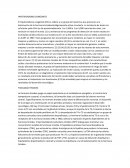 HIPOTIROIDISMO CONGENITO