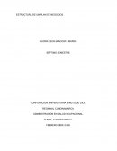 ESTRUCTURA DE UN PLAN DE NEGOCIOS